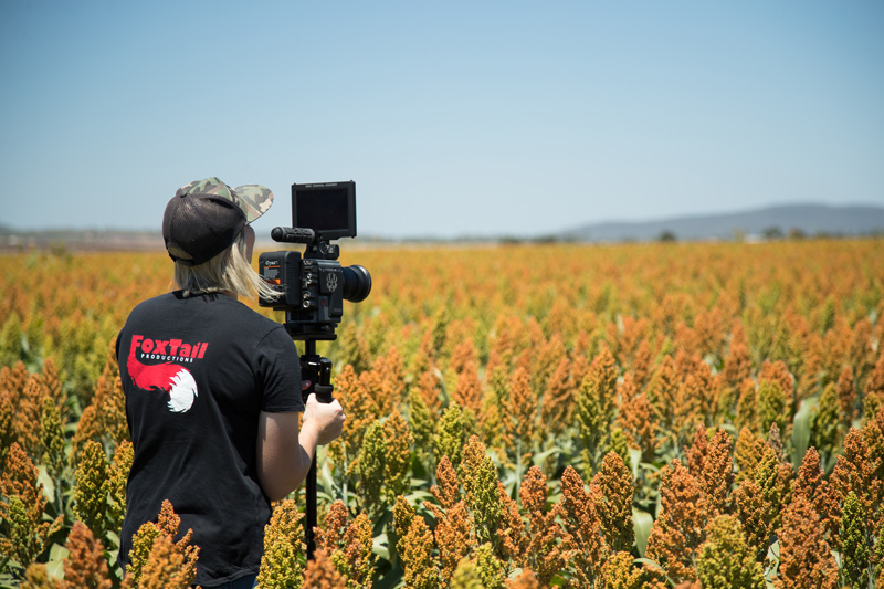 Lady filming the field — Video Production Services in Toowoomba