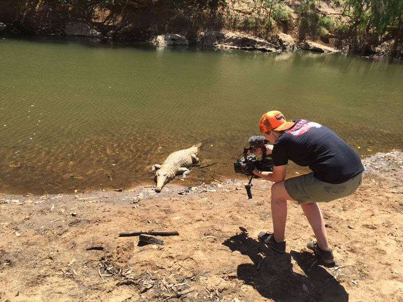 Man filming crocodile — Video Production Services in Toowoomba