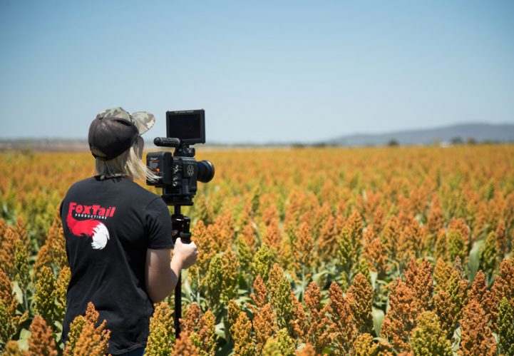 Lady filming the field — Video Production Services in Toowoomba